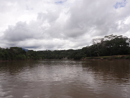 moyobamba perú riomayo