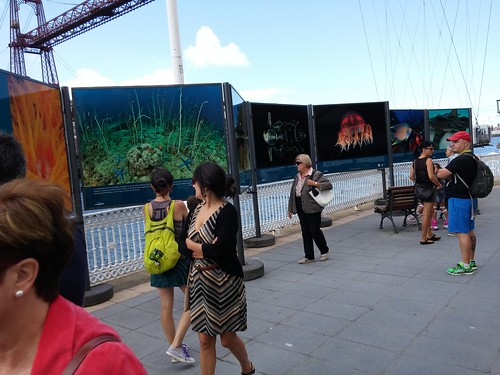 'Mundo submarino', exposición en el Puente Bizkaia