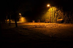 La QUINTE de nuit. - Photo of Auvers-sous-Montfaucon