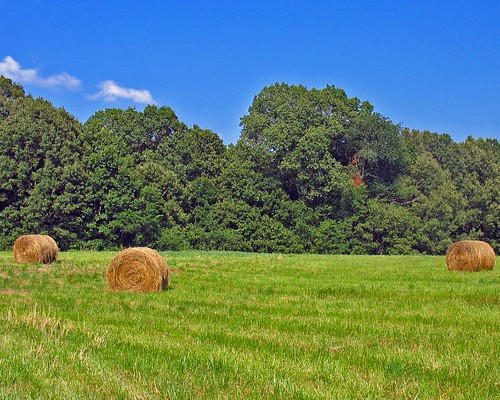 usa rural unitedstates farm kentucky northamerica hay