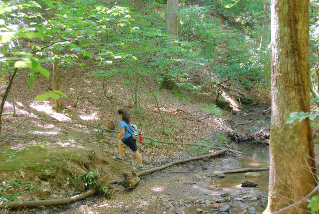 Little Mountain Falls Trail hike at Fairy Stone State Park Virginia