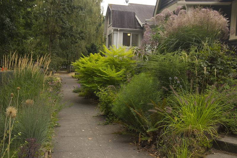 front garden from north