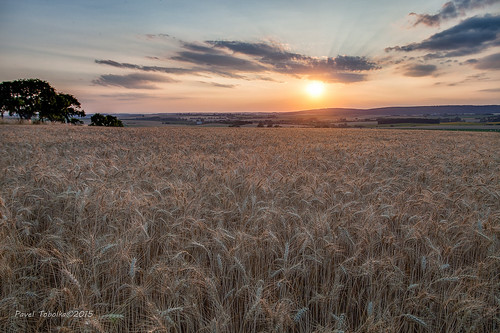 sunset summer sky © sunlight grain harvest straw bluesky pavel 2015 canonef1740mm tobolka vsechovice paveltobolka