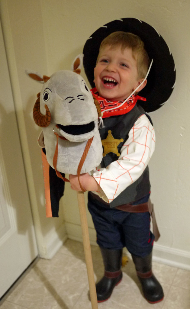 Woody Solo Costume