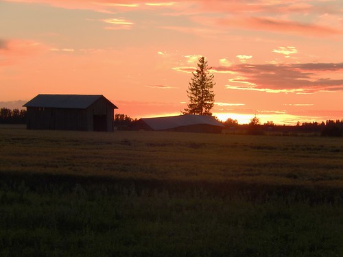 sky orange tree green field clouds barn suomi finland lapua pilvet auringonlasku taivas pelto alajoki