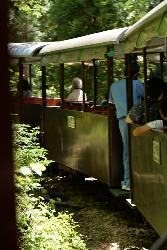 夏の長野旅行 ホテル木曽路・赤沢森林鉄道 2015年8月18日