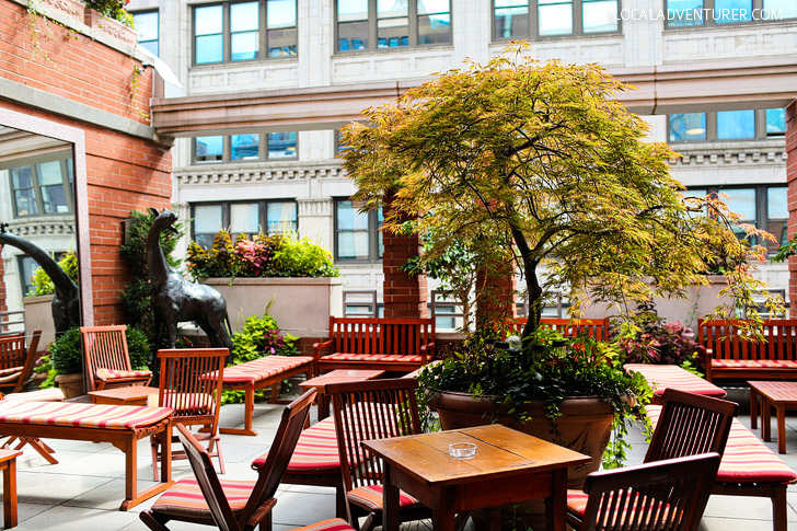 Hotel Giraffe NYC - NoMad Neighborhood - Best Boutique Hotels NYC.