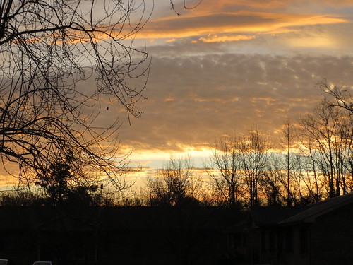 lumberton nc northcarolina robesoncounty sunrise tree trees silhouette morning goodmorning morningsky orange blue sky clouds nature