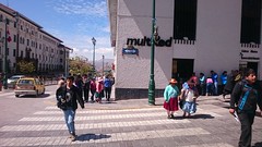 Ave del Sol, Cusco