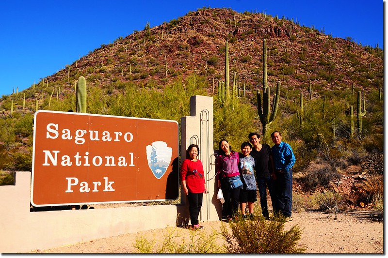 Saguaros National Park