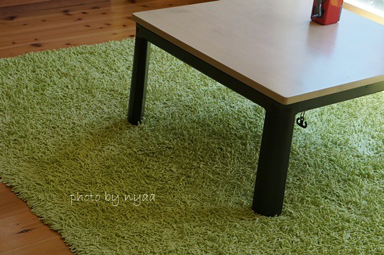 dysondc61-carpet10