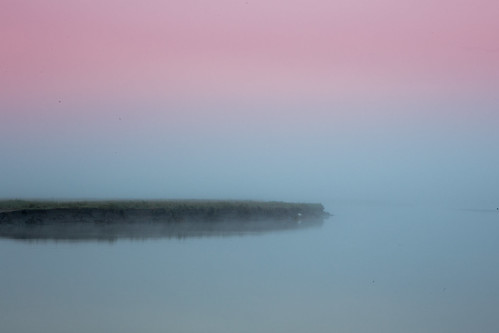 mist france water grass fog sunrise colours pastel peaceful silence minimalism mgła lemontsaintmichel lowernormandy
