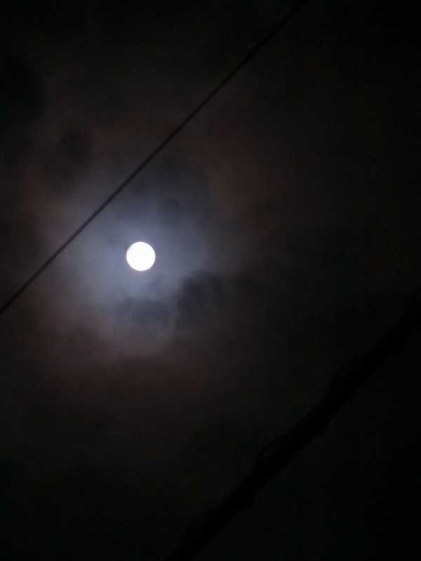 Wow. So moon. Many cloud.