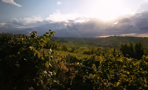 sunset sky sun leaves foglie clouds landscape tramonto nuvole hills vineyards cielo sole paesaggio colline monferrato allaperto vigneti tamronsp1750 nikond7100