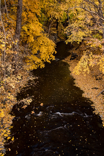 autumn fall leaves creek kill troy wynantskill