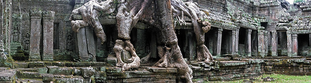 Tree roots enveloping a temple at Angkor Wat, Cambodia
