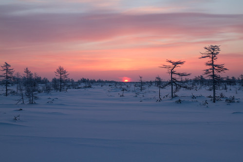 ©alexanderalechits canoneos7d canonef1635mmf4lisusm travelphotography sakhalin nature winter snow sunrise сахалин зима снег восход солнце