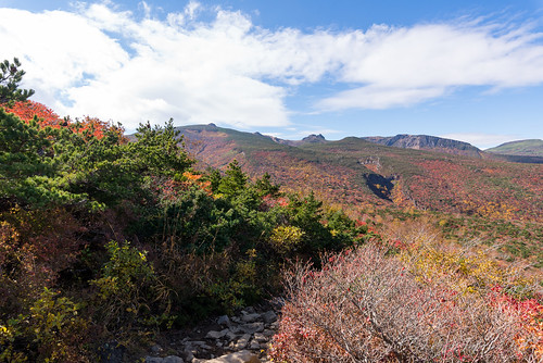 autumn japan landscape 日本 紅葉 秋 fukushima 風景 2015 福島県 登山 東北地方 安達太良山 二本松市 nikond610
