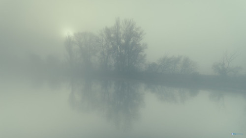 trees mist fog sunrise river landscape outdoors fineart loire orléans