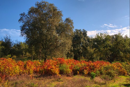 españa paisajes naturaleza photoshop sevilla nikon raw nef andalucia otoño hdr fotografía sierranorte d90 miguelpozo reveladodigital pozoman