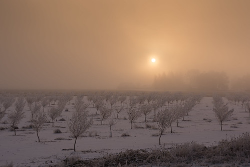 junctioncity lanecounty oregon sunrise field farmhouse snow frost ice sky fog