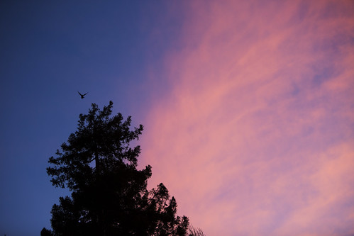 ca california petaluma sonomacounty northbay sunrise
