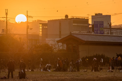 奈良市 奈良県 夕景 sunset japan 祭り festival 世界遺産 平城京跡 worldheritage