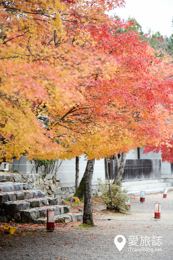 京都高雄神护寺 23