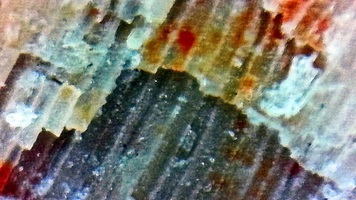arizona rock digital fossil photo mineral microscope holbrook petrifiedforestnationalpark petrifiedwood