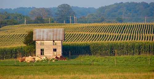 abandoned field rural corn cornfield farm wellhouse lawrencecounty indidna