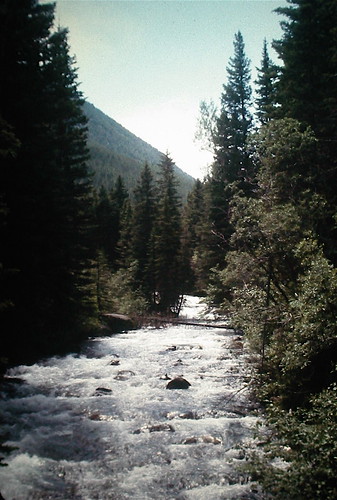 montana stream indianauniversitygeologicfieldstation