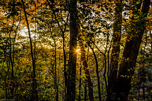 morning autumn light fall sunrise dawn morninglight october conservation greenwood area rays sunstar 2015 d610 greenwoodconservationarea briandtucker october2015