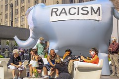 Racism: The Elephant in the room