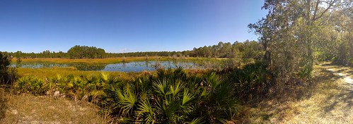 flatwoods park pond wetland trail panorama panoramic