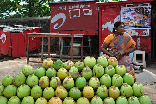 india tamilnadu mamallapuram coconutseller asienmanphotography