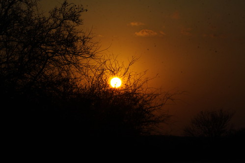 africa sunset game sol drive do south safari por sul kruger áfrica