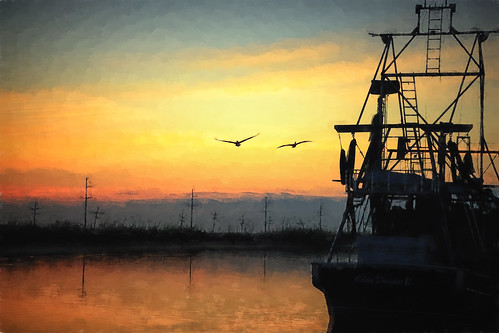 painterly pelicans birds sunrise canon boat louisiana unitedstates bayou coastal shrimpboat waterscape gulfcoast bayoulafourche lafourcheparish goldenmeadow canon6d ilobsterit topazimpression