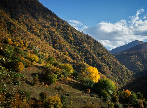 haghpat lori armenia am 2011 color landscape mountain nature plant tree village fallcolor
