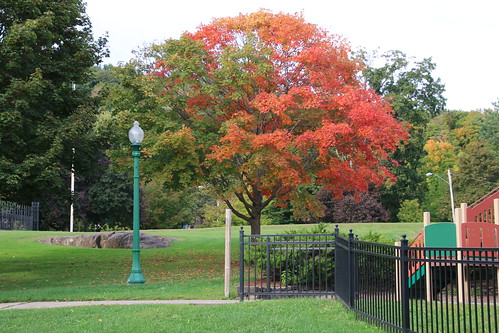 autumn usa fall littlefalls newyorkstate