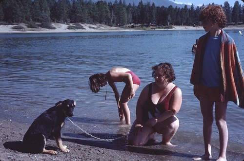 summer dogs swimming melanie 1981 elaine douglas argus wasa