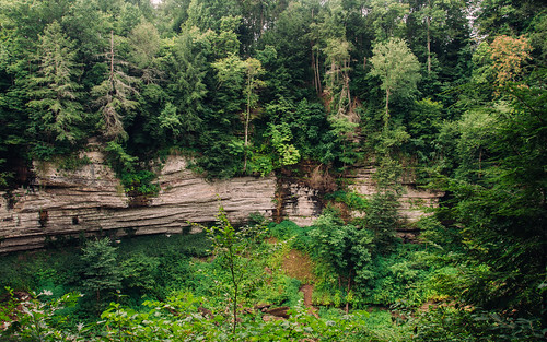 park cliff color green nature beautiful rock america forest landscape woods colorful raw outdoor tennessee scenic rocky naturalbeauty bluff lightroom cookeville americanbeauty jacksoncounty vsco cumminsfalls centraltennessee vscofilm cumminsfallsstatepark