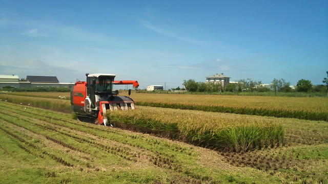 工業化後農業也大量仰賴大型機具，改變了土地倫理與生產方式。圖片來源：新自然主義出版