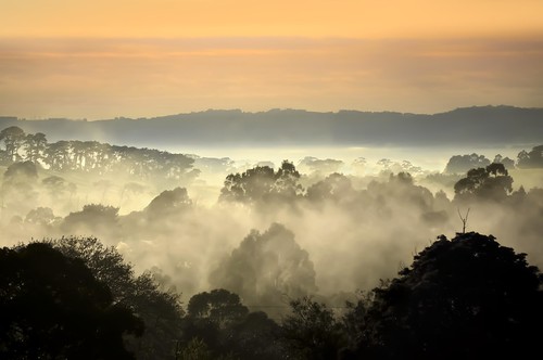 morning mist weather misty fog sunrise landscape nikon foggy australia victoria vic layers gippsland warragul strzeleckiranges westgippsland d5100 strzeleckis nikond5100 phunnyfotos