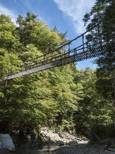bridge nature outdoor 日本 suspensionbridge 徳島県 三好市