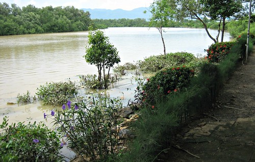 vietnam bàrịa dinhriver sôngdinh