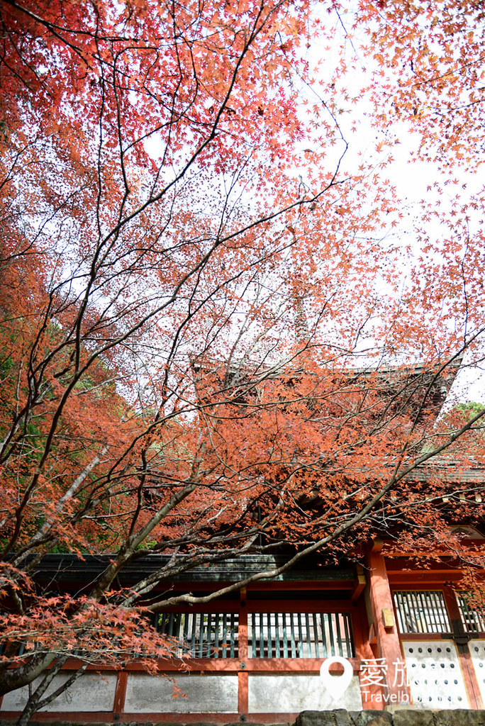京都高雄神护寺 39