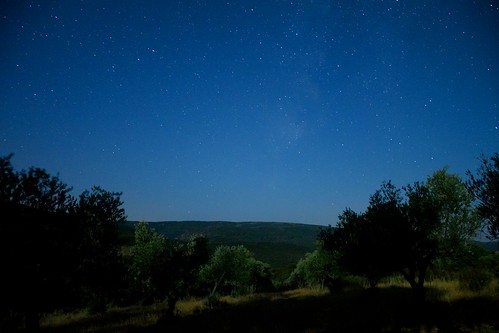 estrellas olivos nocturno