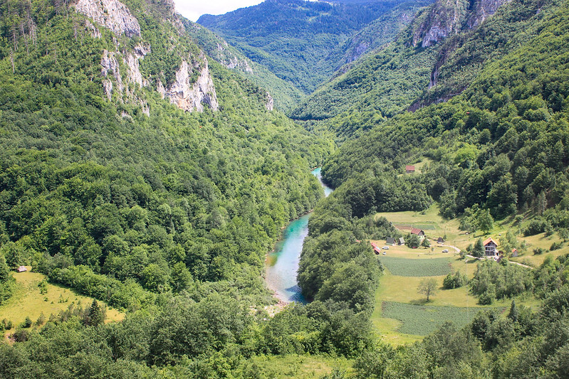 Montenegro Road Trip