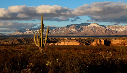 2016 arizona cacti desert flickr gps landscapes mountains pinalcounty saguarocactuscarnegieagigantea sanpedrorivervalley usa unitedstatesofamerica
