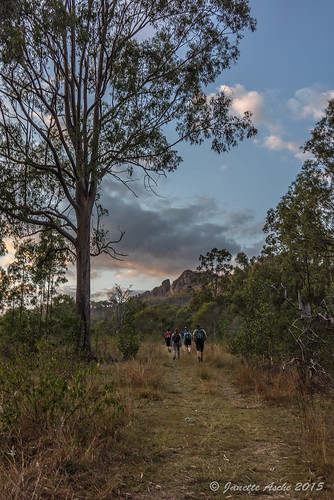 trees mountain clouds sunrise track australia trail bushwalking qld queensland eucalyptus geology bushwalk volcanicplug 2015 bushwalkers seqld flinderspeak flindersgoolmanconservationestate rhyolitepeak sonya7r